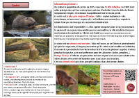 castor et ragondin V@